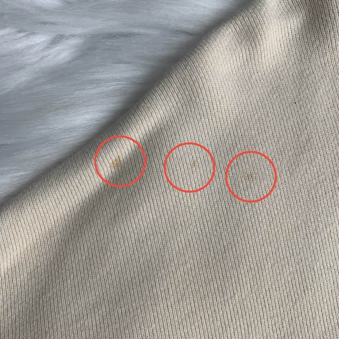 Lee 아이보리 자수 로고 크롭 맨투맨 1882 상품이미지7