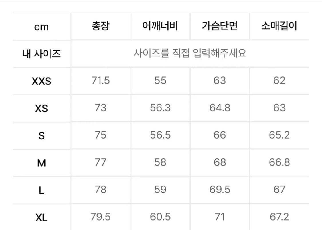 [L, 한국 115정도] 아크네스튜디오 맨투맨 상품이미지4