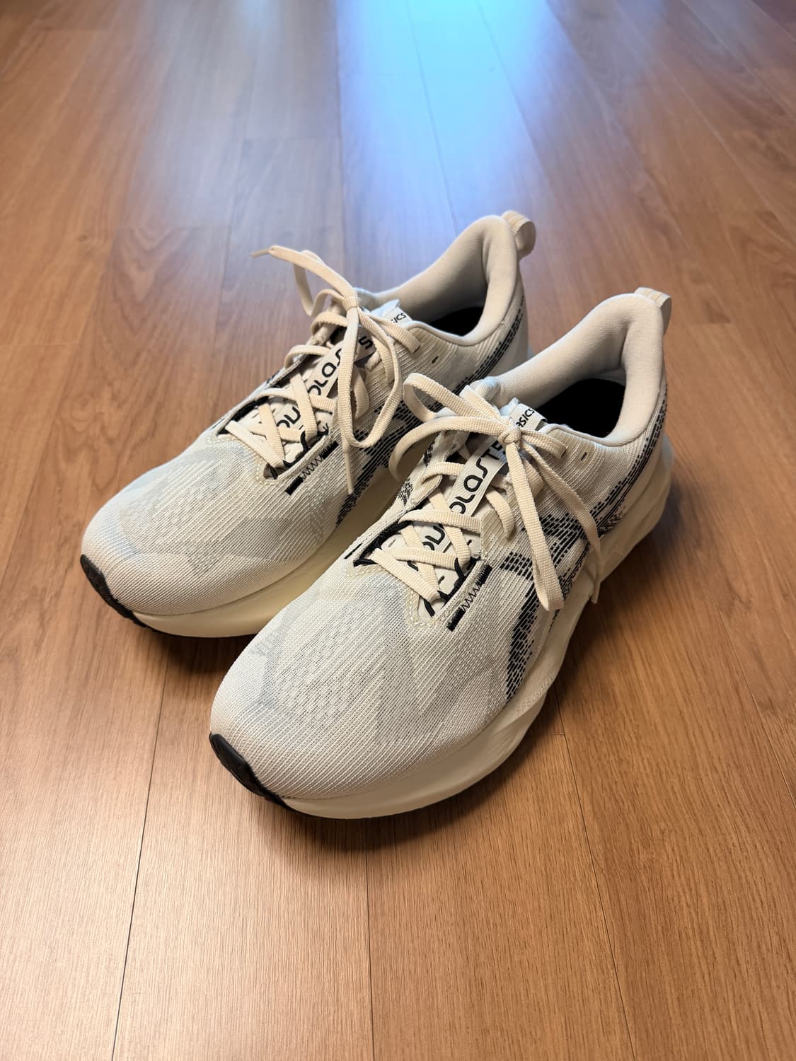 270) 아식스 노바블라스트5 오트밀 상품이미지1