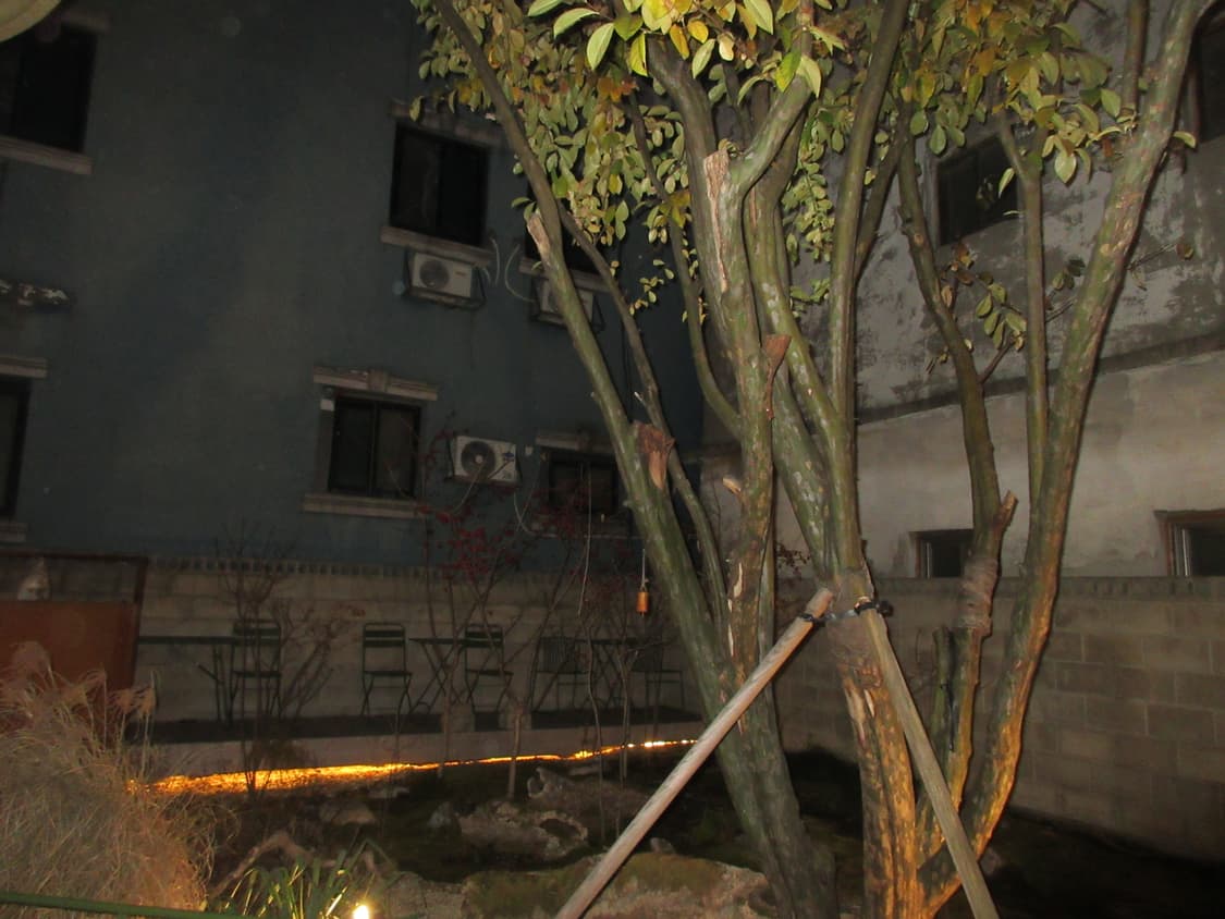 Pentax Optio RS1000  상품이미지5