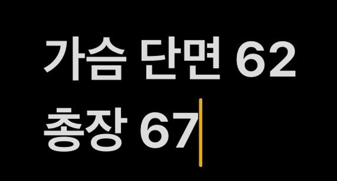 [정품/50사이즈] Pino Faraco 빈티지 가죽자켓 브라운 b14 상품이미지10