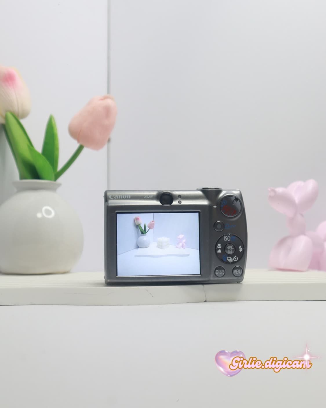 *연예인,유튜브 디카* 캐논 익서스850is /익시900is 상품이미지5