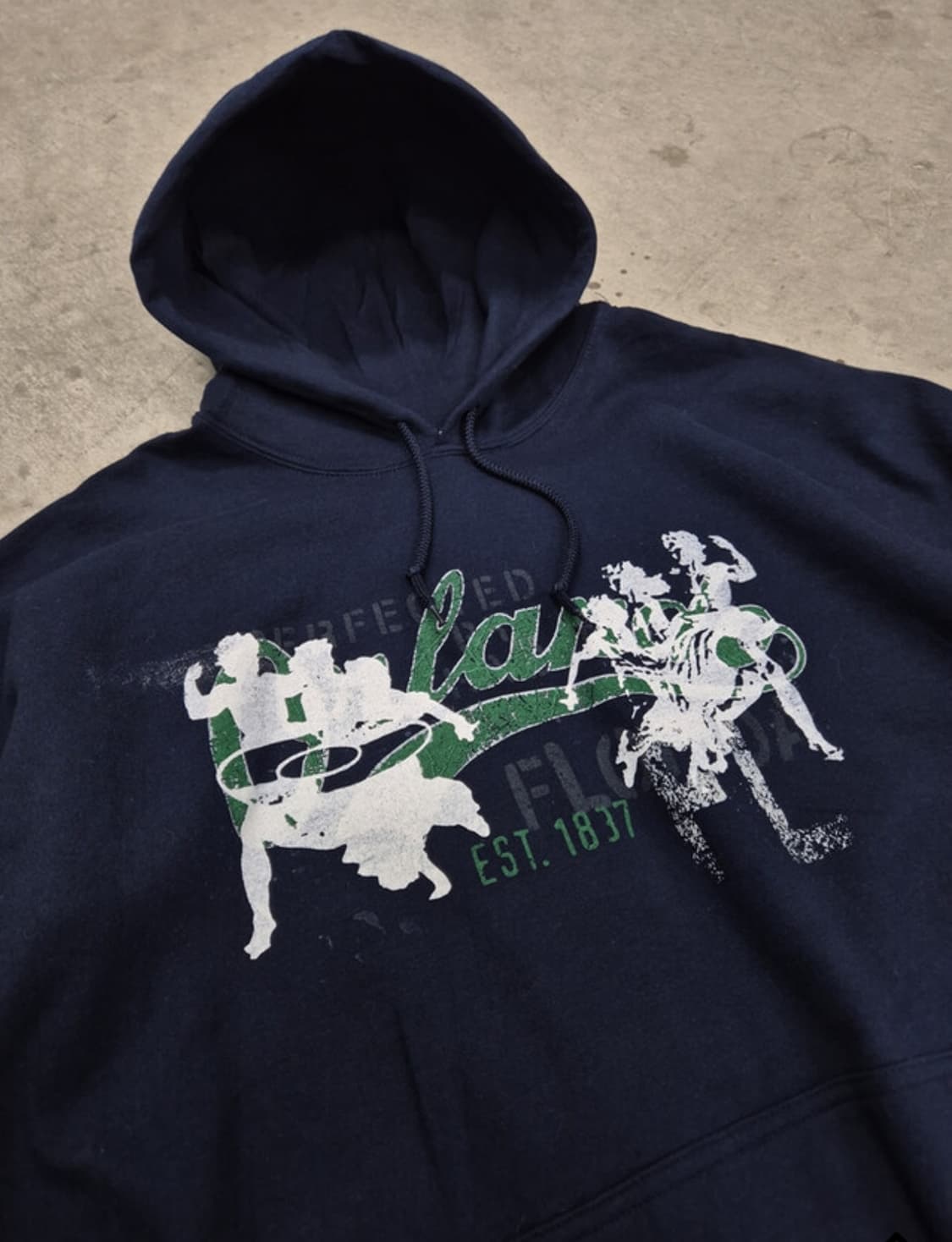 GILDAN, GRAPHIC PRINT SWEAT HOOD ( 2XL ) 상품이미지4