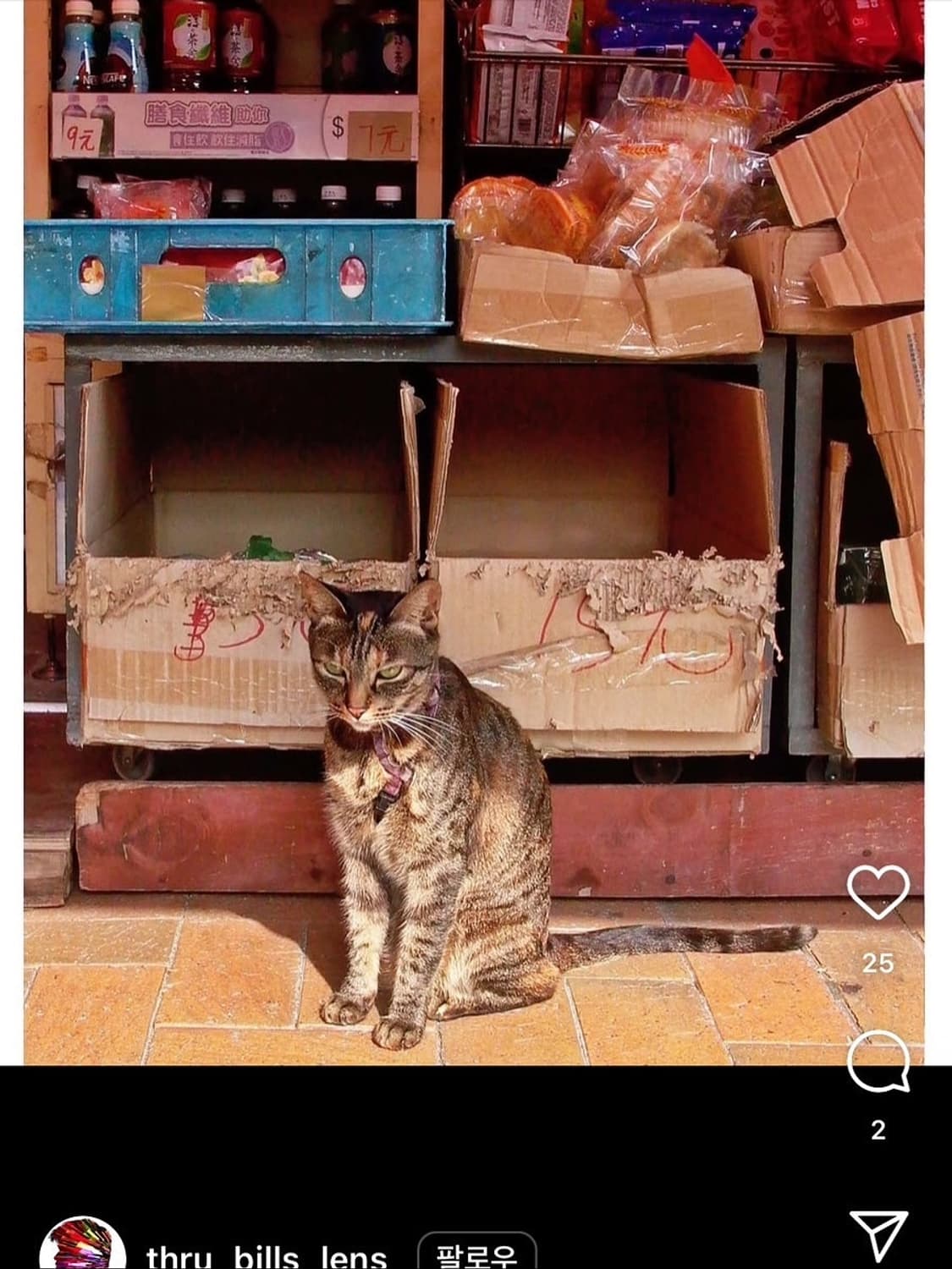 라이카 디지룩스 1 상품이미지5