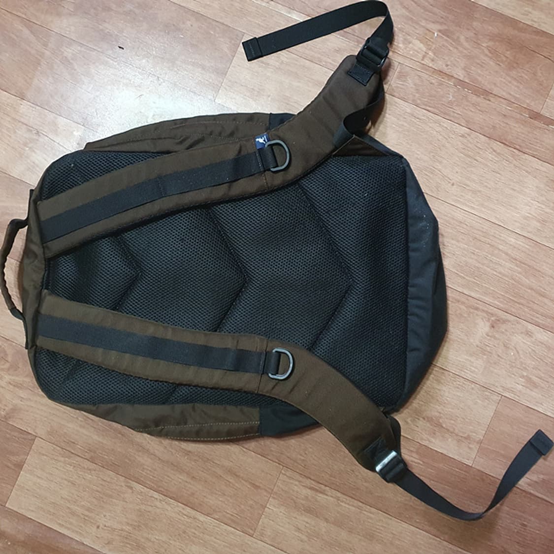 캉골 백팩 상품이미지3