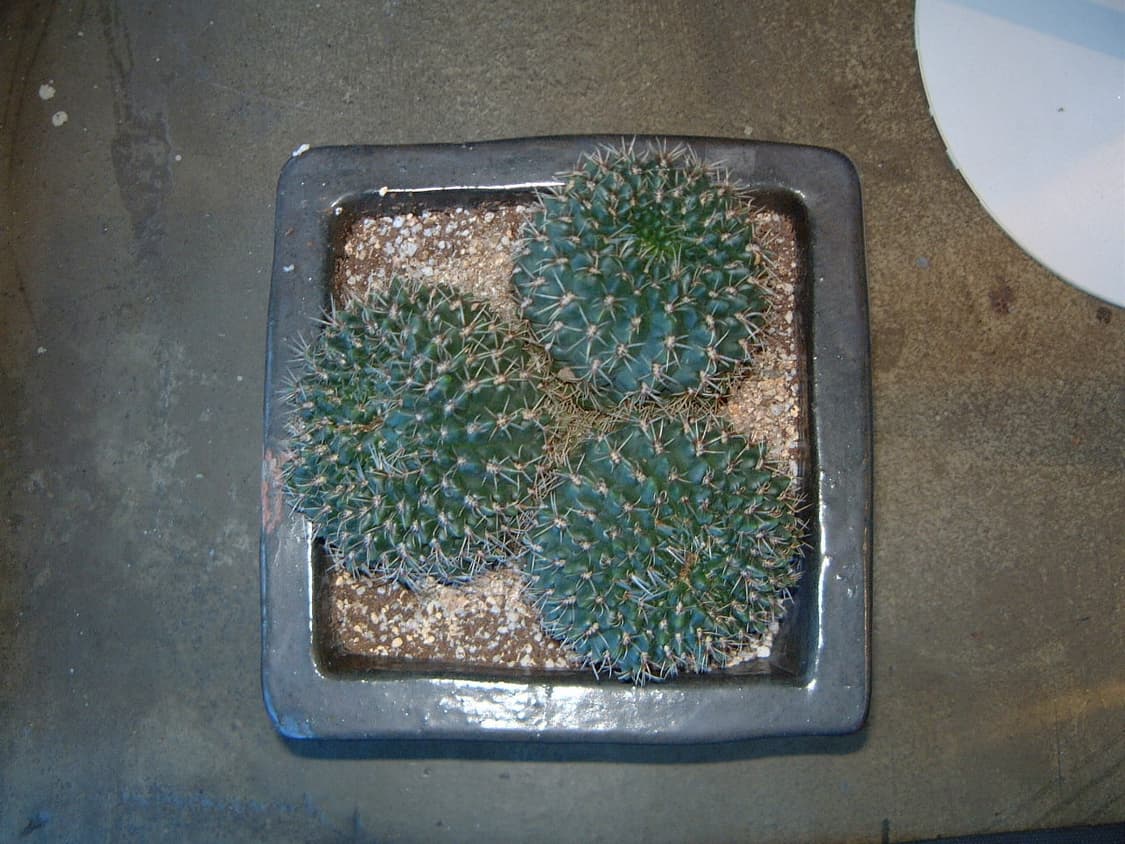 스미카케이블/스미카64mb)후지필름 파인픽스 4700z 실버 빈티지디카 상품이미지10