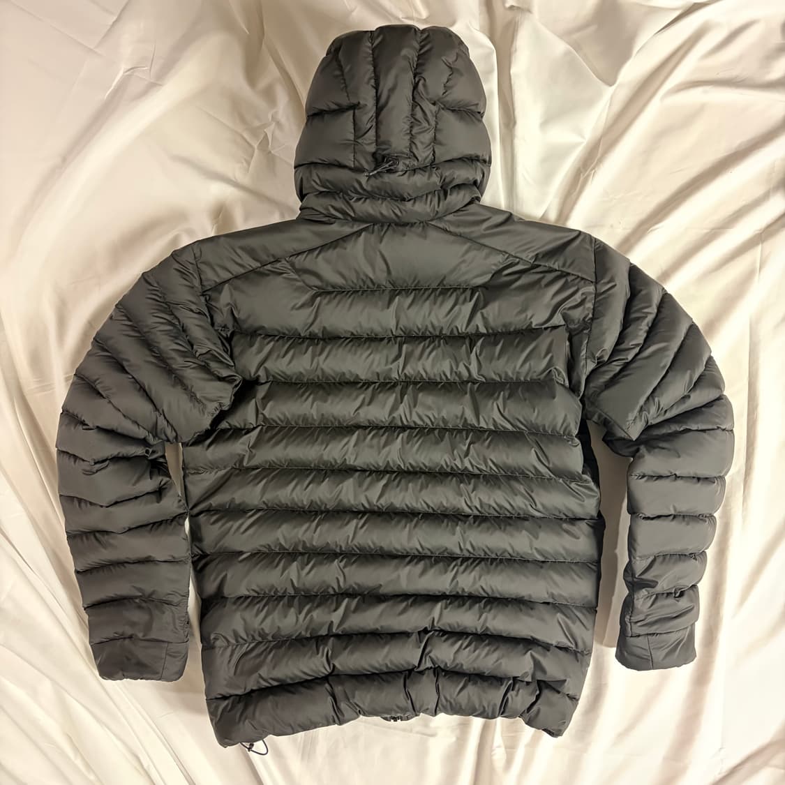 [L] 아크테릭스 세륨 후디 블랙 상품이미지2