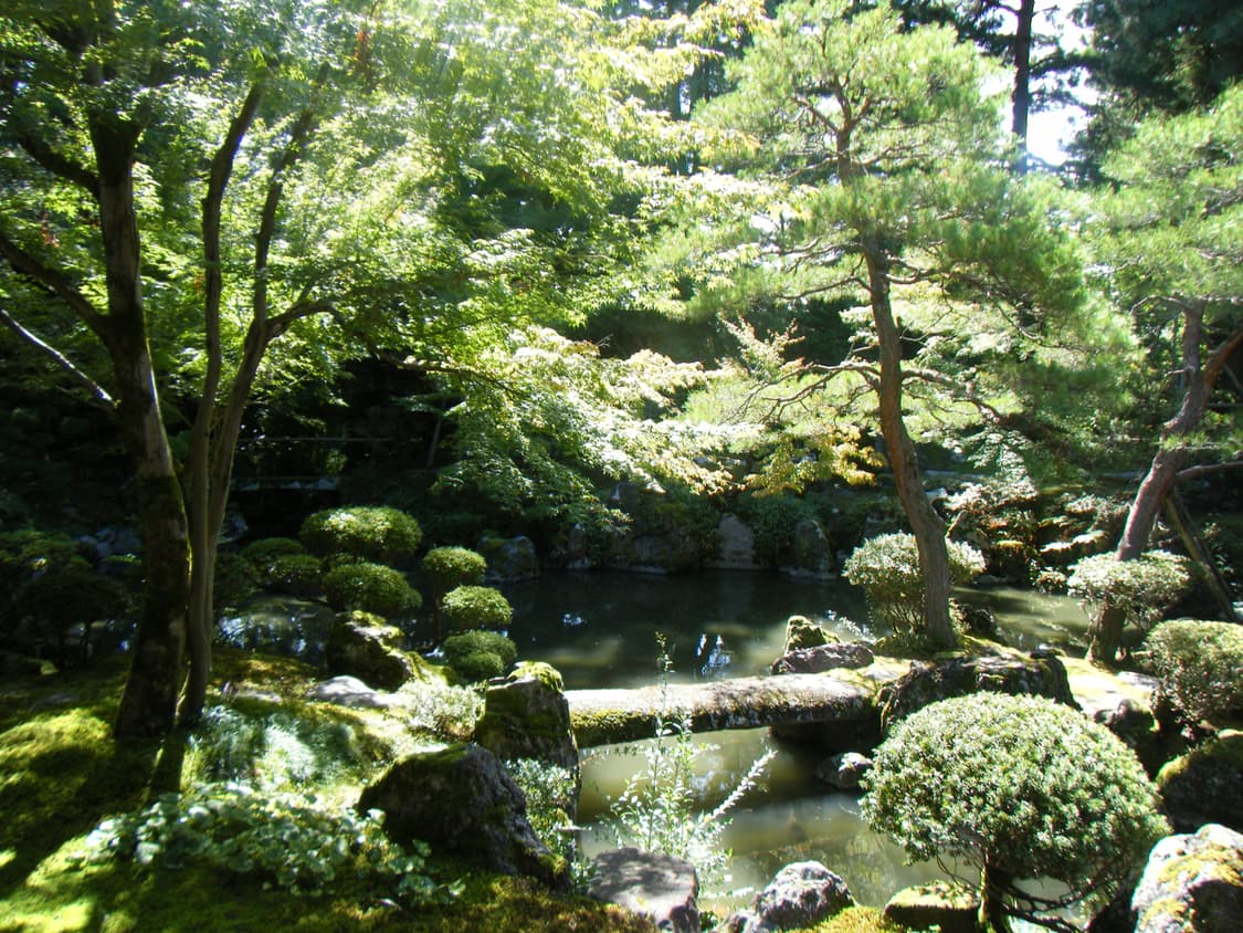 후지필름 파인픽스 z250  팝니다. 상품이미지10