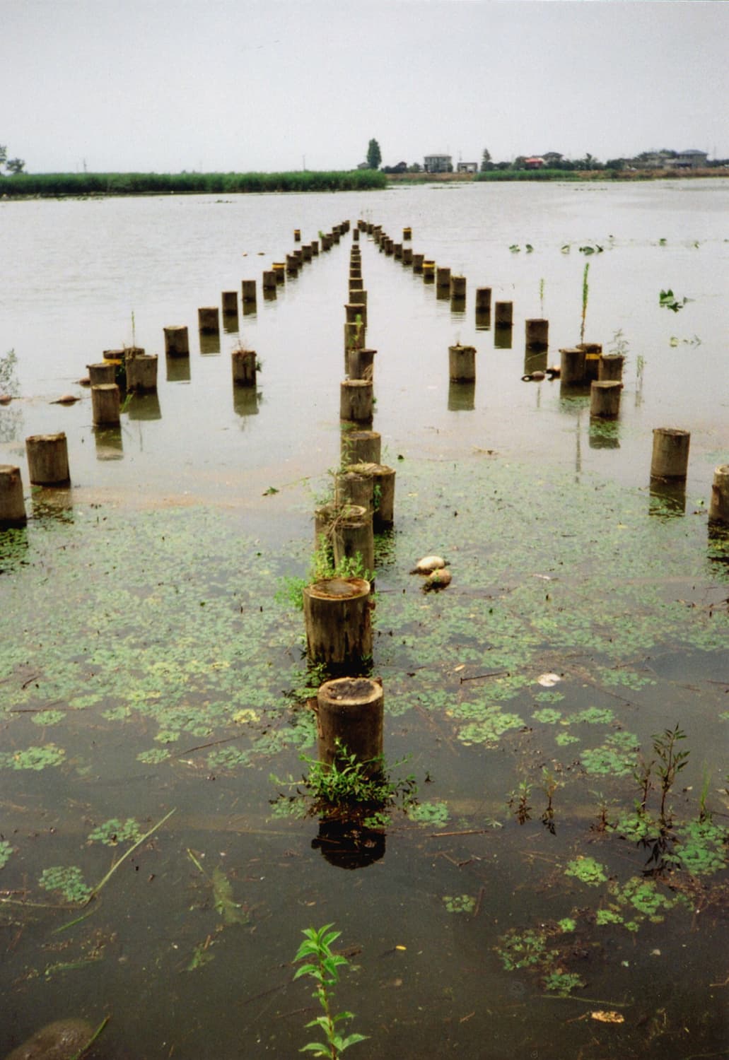 작례O 명기 광각의 아이콘 리코 LX-55W 필름카메라 빈티지 필카 상품이미지6