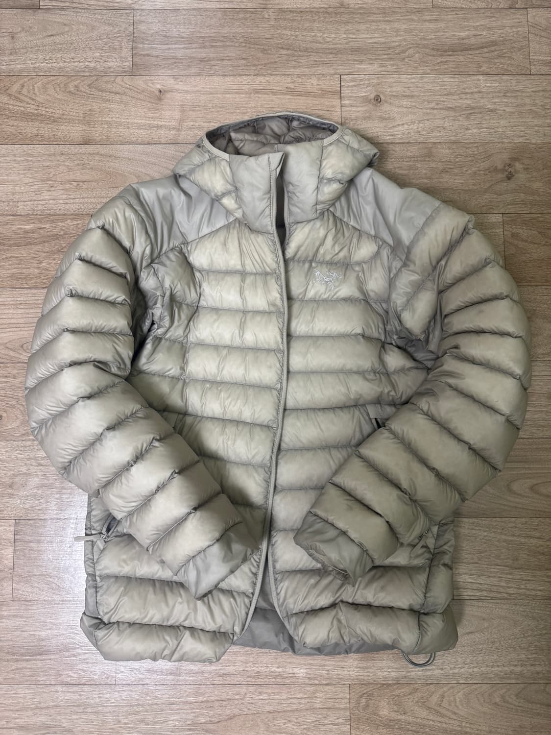 아크테릭스 세륨 후디 룬 M 상품이미지1