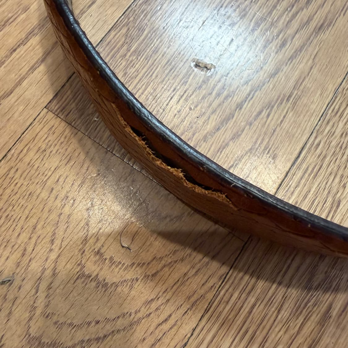 구찌 브라운 스네이크 엠보싱 가죽 인터로킹 GG 상품이미지6