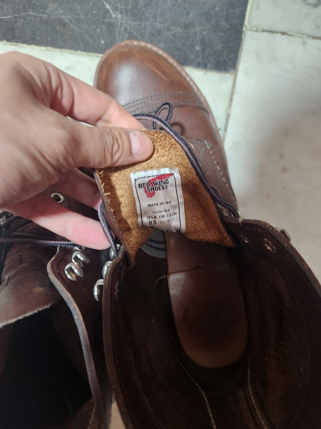 레드윙 상품이미지2