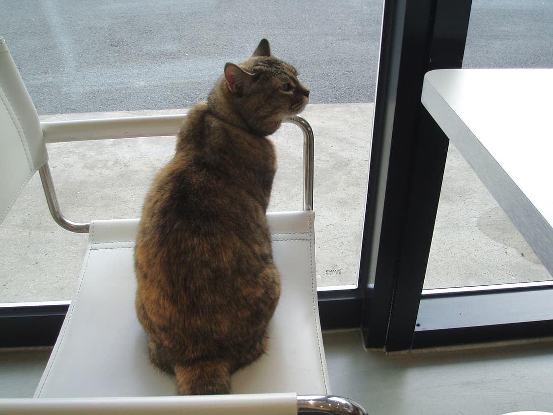 올림푸스 뮤 미니 실버 (작례O) 상품이미지9