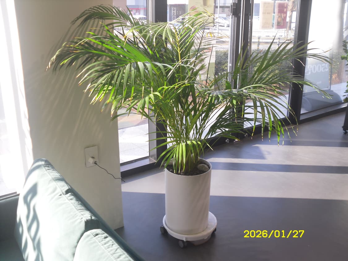 삼성  vluu l201 (작례있음) 상품이미지4