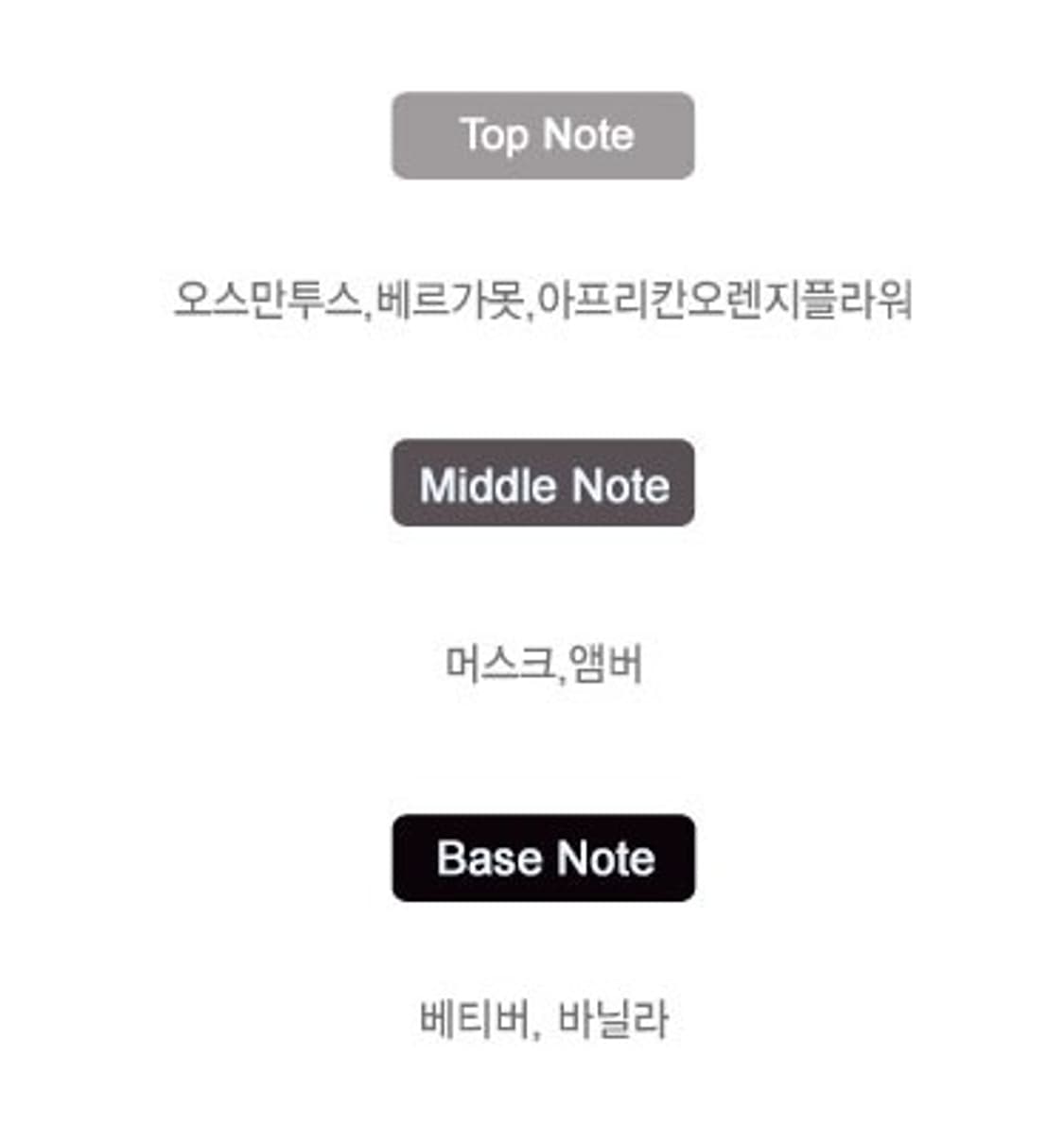 나르시소 로드리게즈 포 허 오드뚜왈렛 100ml 상품이미지3