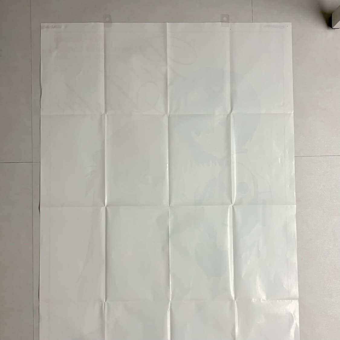 에반게리온 영에이스 부록 레이 아스카 b1 대형 포스터 상품이미지2