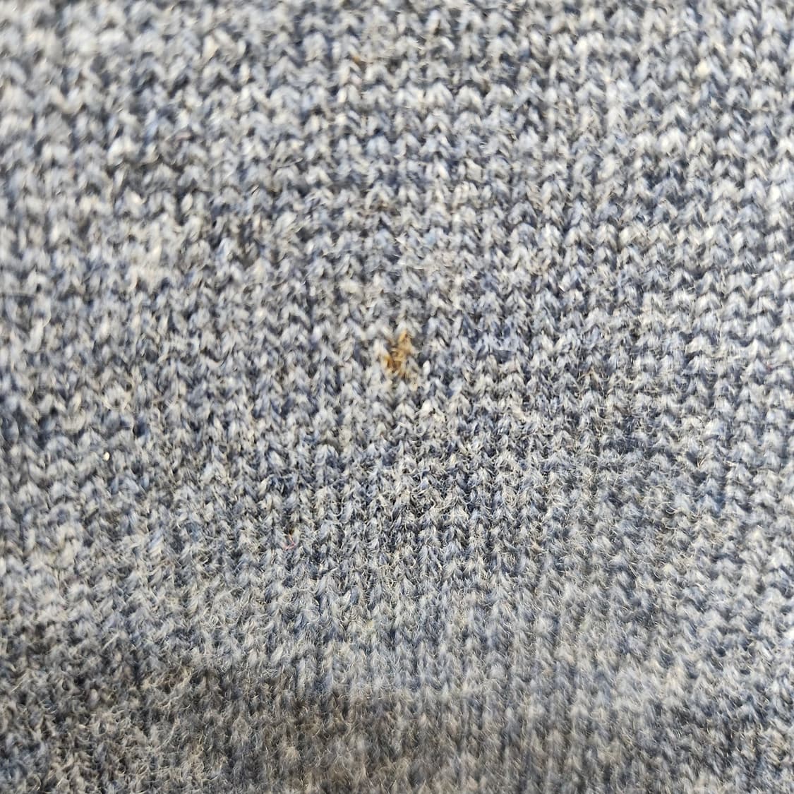 폴로랄프로렌 램스울 로고 니트 L(M) 남여공용 상품이미지5