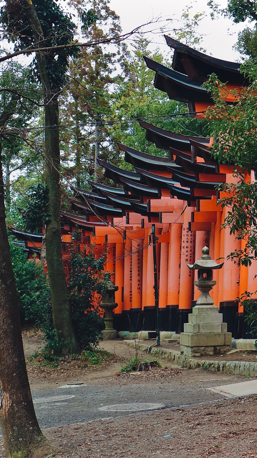 캐논 eos m10 미러리스 카메라 + 15-45mm 렌즈 상품이미지2