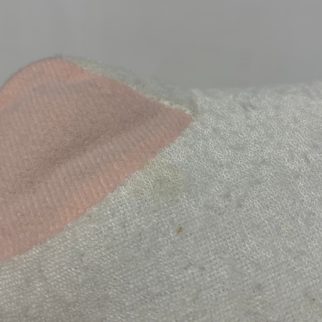 2000년 도코데모잇쇼 토로 중대형 인형 상품이미지5