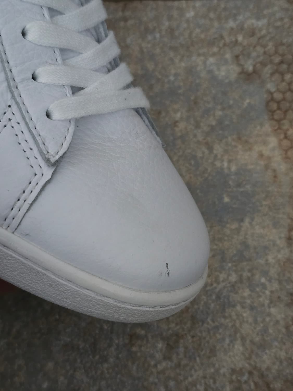 (230)라코스테 카나비 에보  상품이미지8