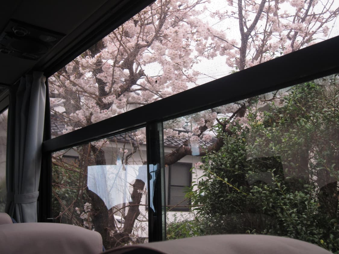 캐논 익서스 210 핑크 상품이미지6