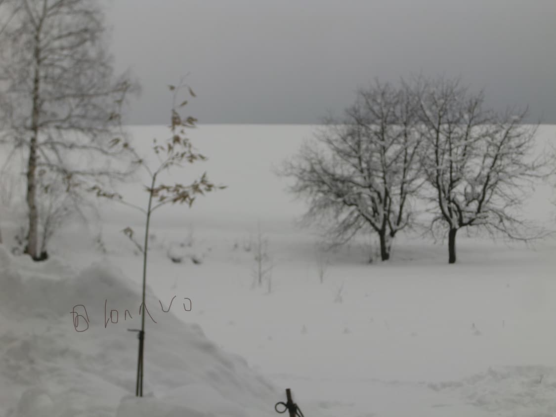 CASIO EXILIM Z300 (작례 O) 상품이미지6