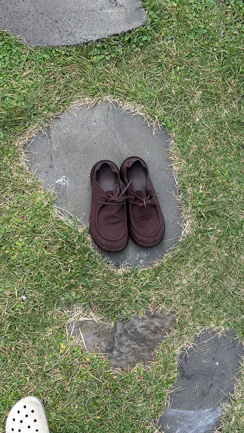 aao x 리게타 상품이미지3