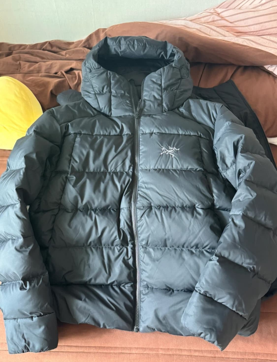 ARC'TERYX Thorium  아크테릭스 토륨 자켓 여성용 상품이미지2