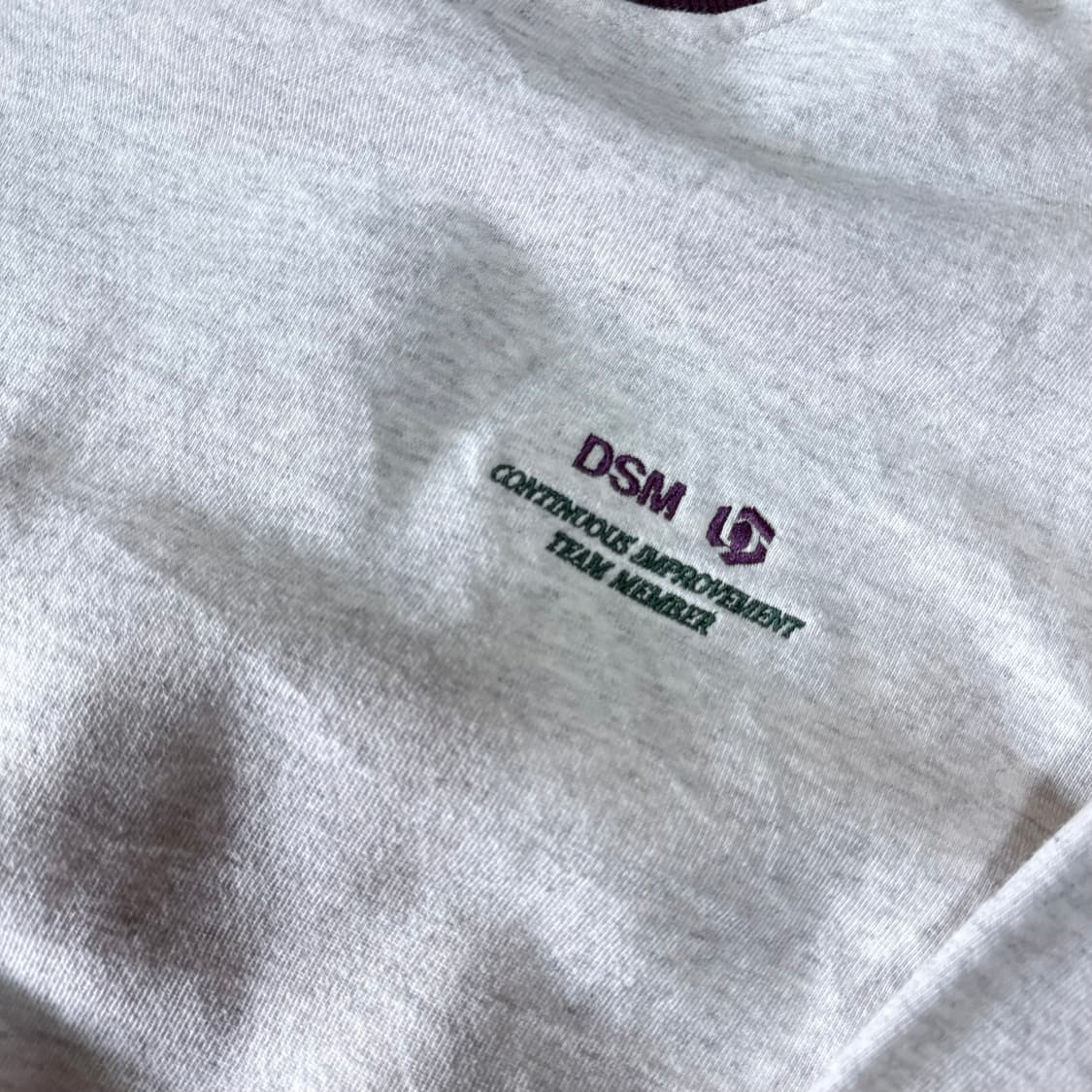 90‘s Swingster DSM 스웻셔츠 L 상품이미지2