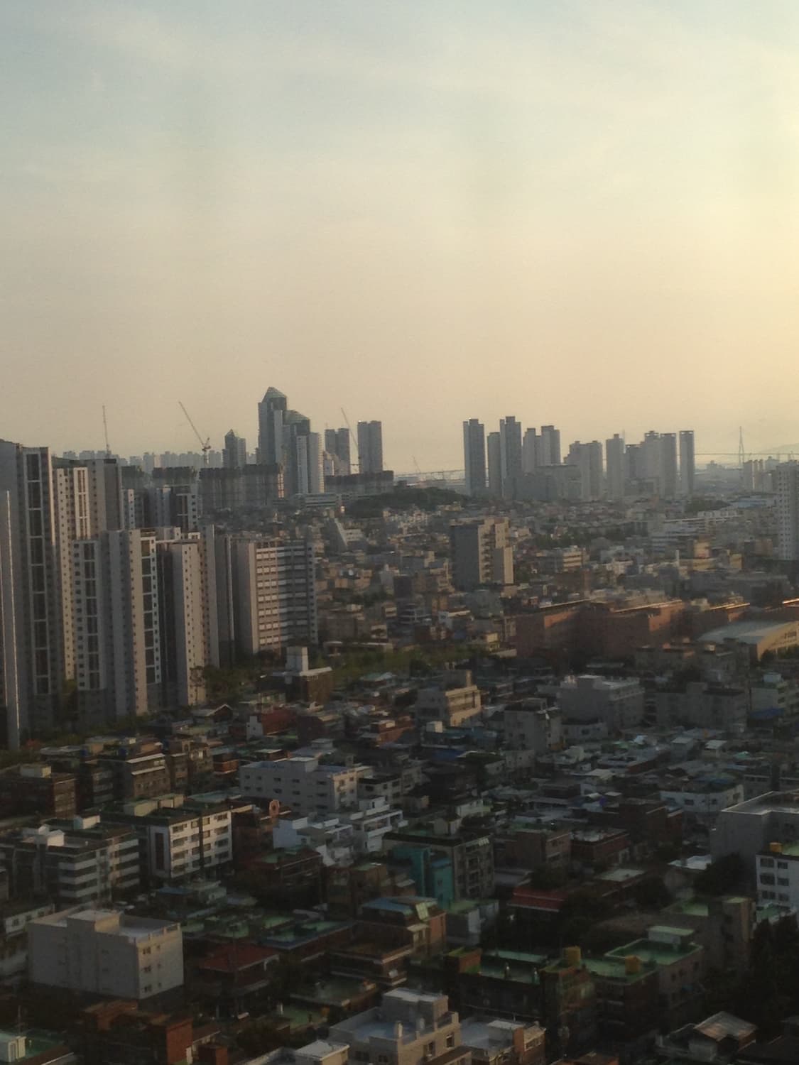 아이폰 5c 화이트 8g 상품이미지7