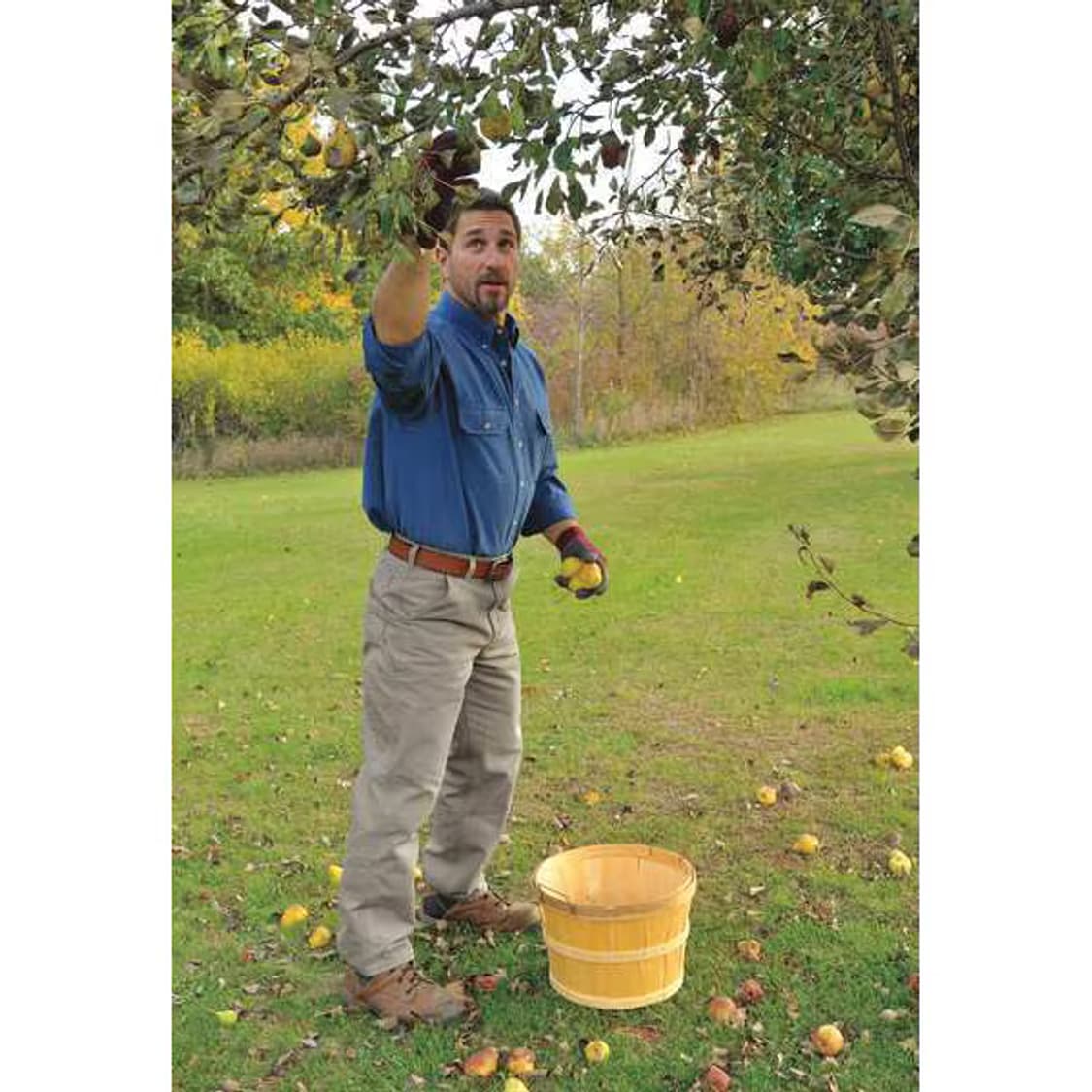 (34X30)칼하트 싱글니 워크팬츠 B11 DES 데저트 던거리 핏 상품이미지10