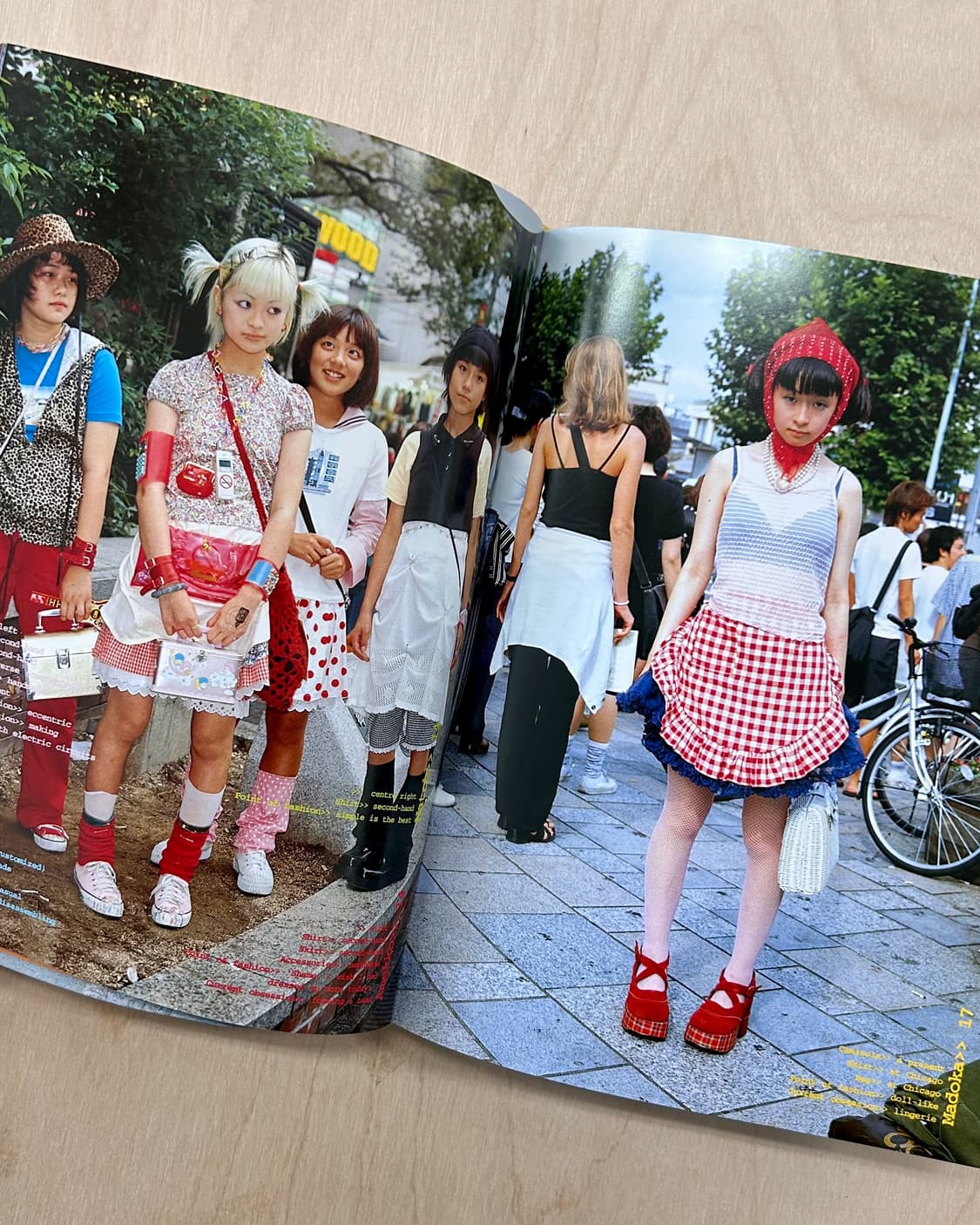 FRUiTS (2005 Edition) 후르츠 아트북 Phaidon 상품이미지4