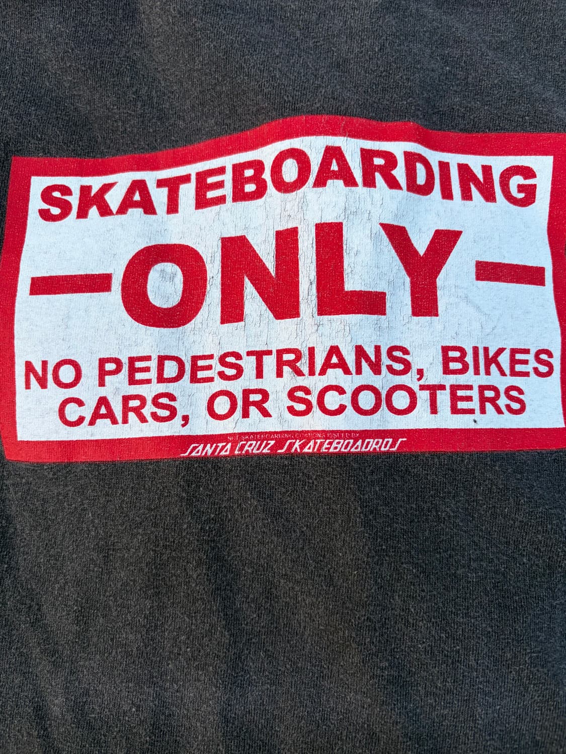 빈티지 산타크루즈 00s 핑크플로이드 스투시 ratm 상품이미지3