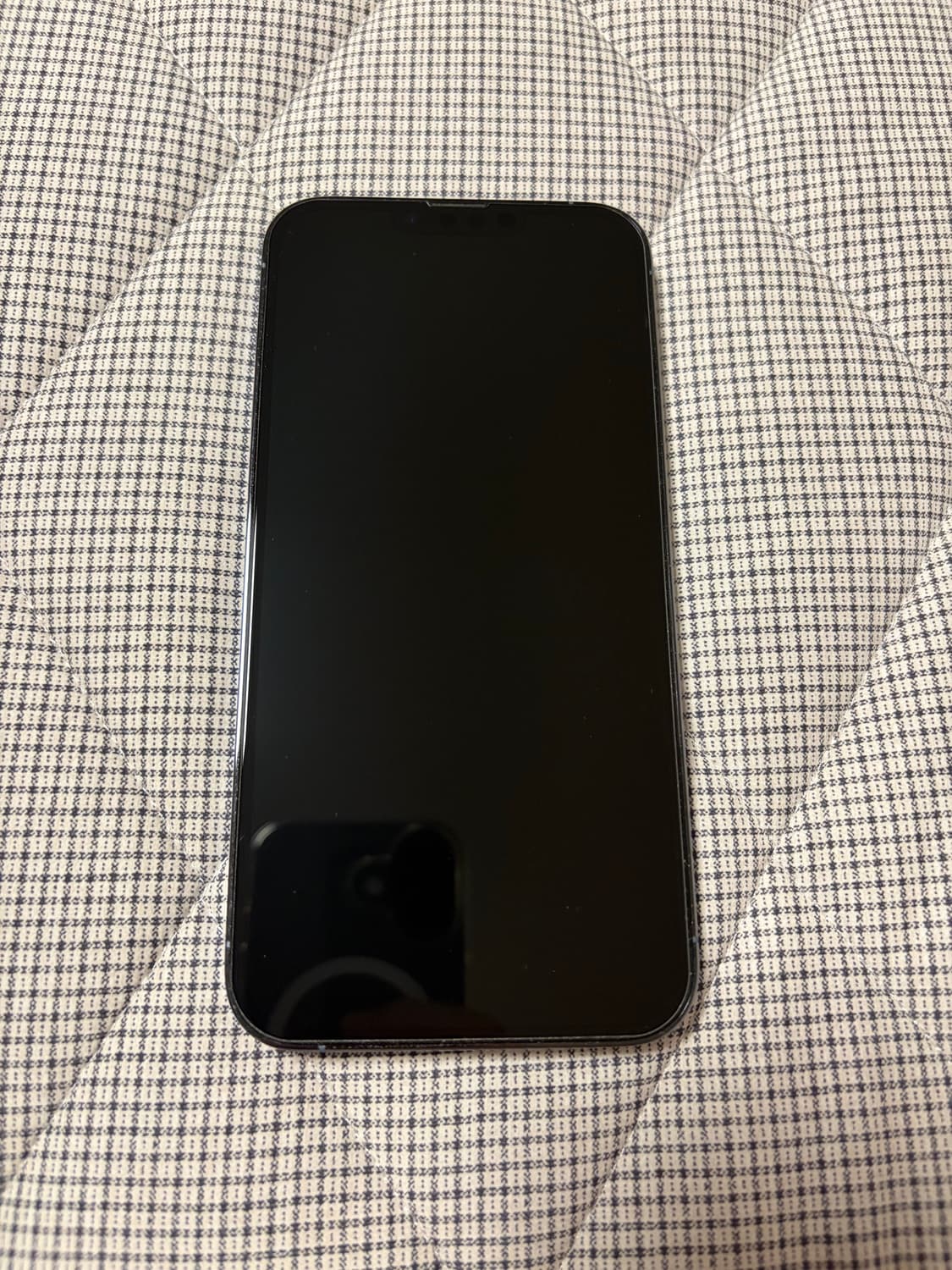 아이폰 13 프로맥스 시에라 블루 256GB 상품이미지3