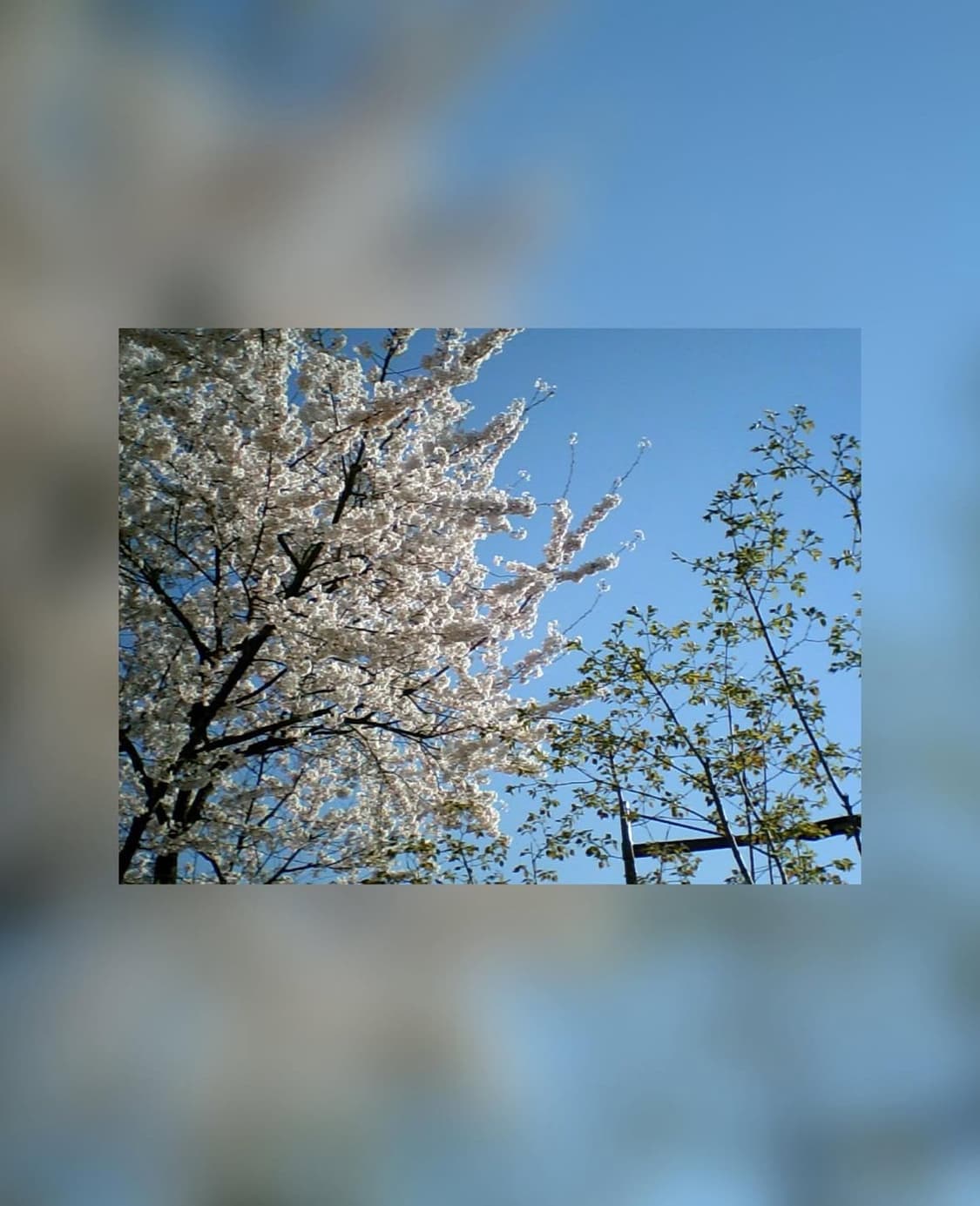 레고 디지털카메라 상품이미지8