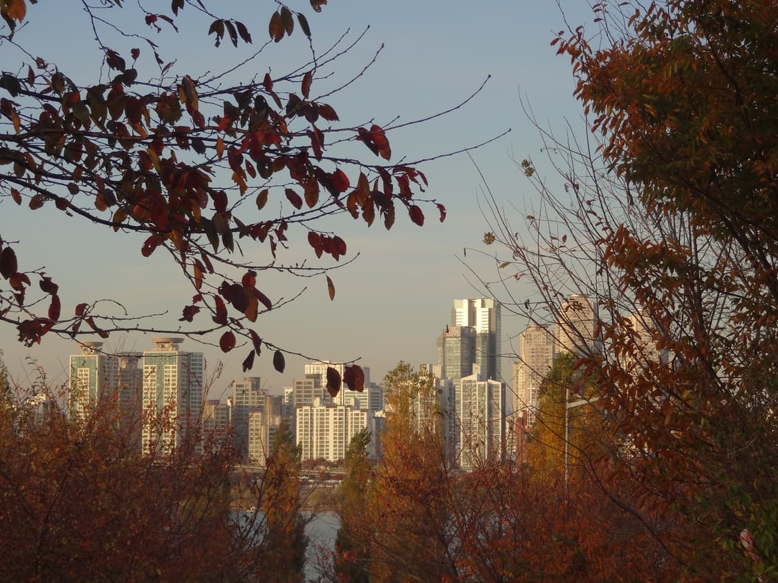 입문&강추!) Sony Cyber-shot HX5 디카 카메라 상품이미지5