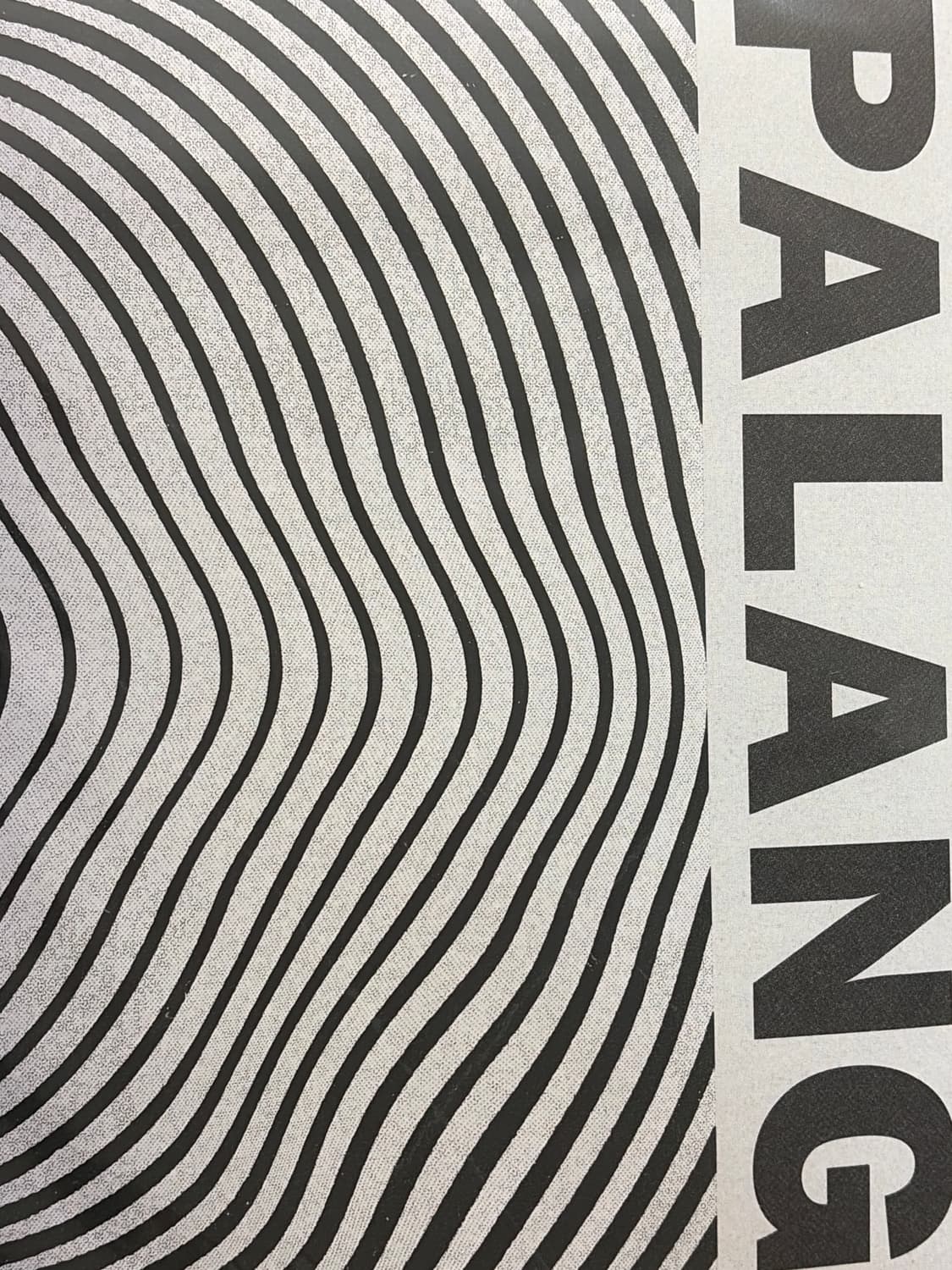 한로로 및 타 아티스트 cd Lp 판매 상품이미지6