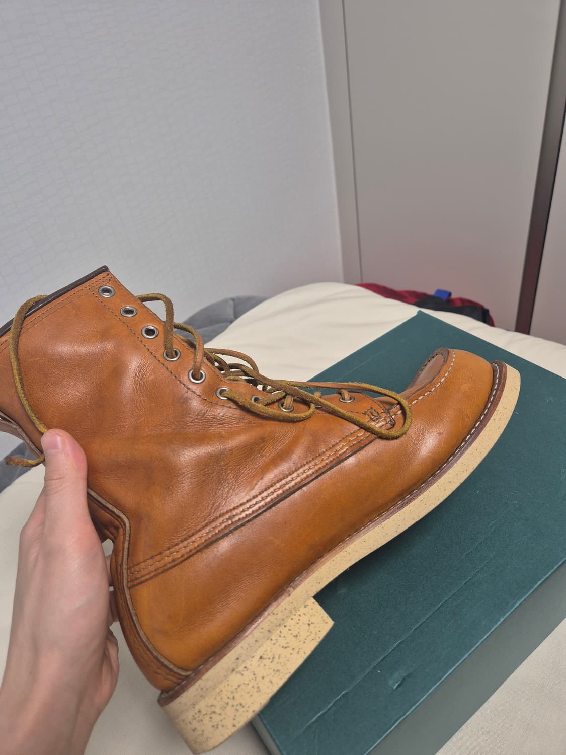 레드윙 아이리쉬세터 9877 판매합니다. 상품이미지6