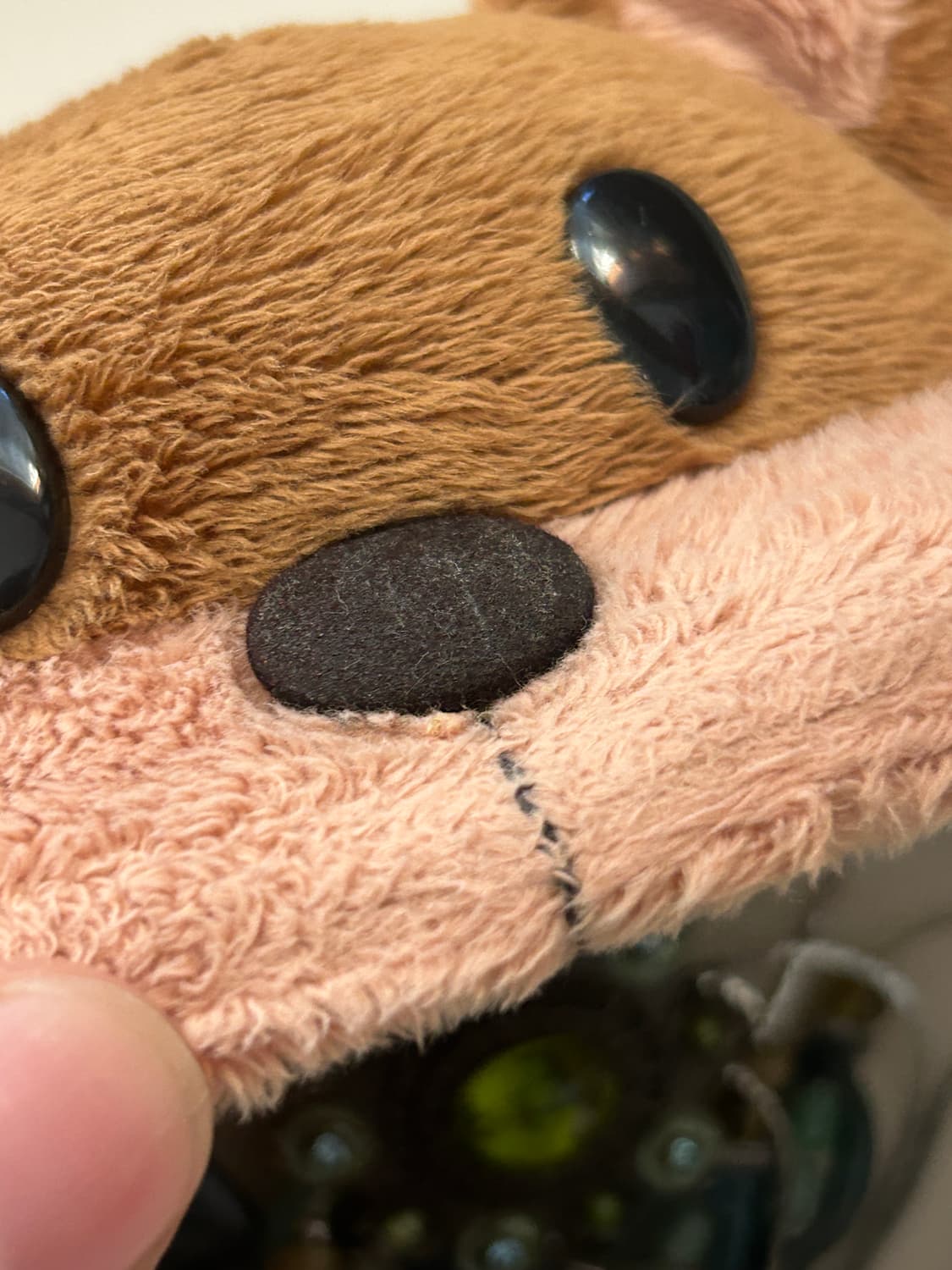 곰돌이 안경케이스 상품이미지9