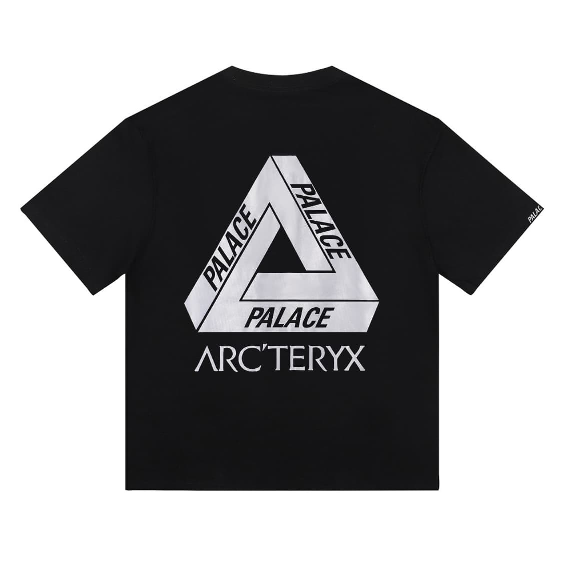 팔라스 x 아크테릭스 반팔티 상품이미지1