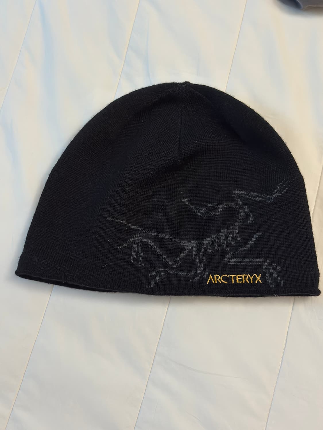 아크테릭스 버드 헤드 토크 24k 블랙 상품이미지2