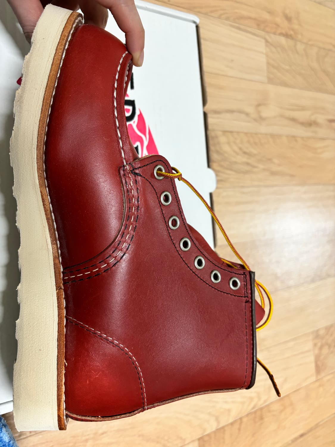 레드윙 목토8875 6E(240) 세컨드팩토리 팝니다 상품이미지2