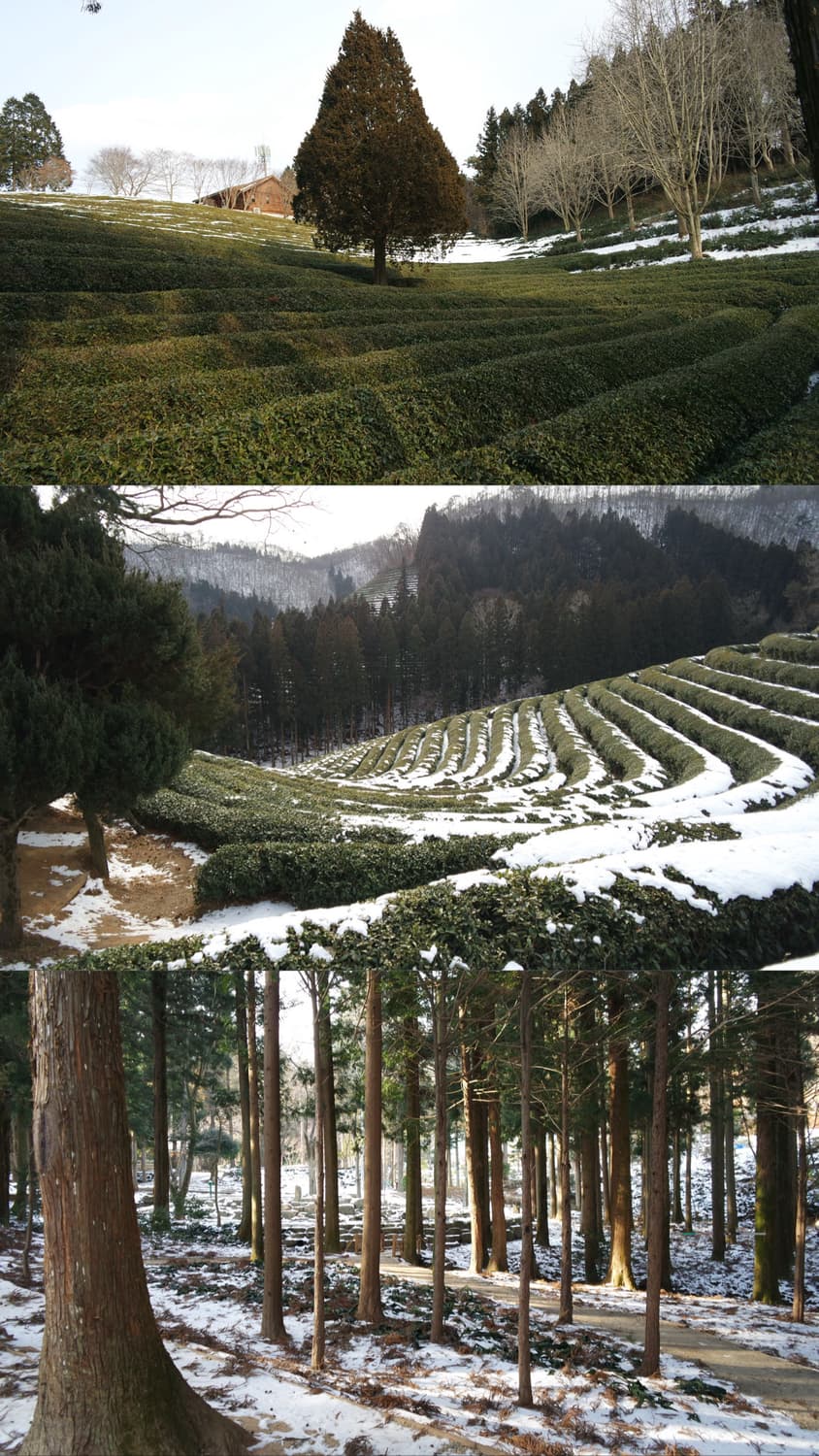 (작례 O) 삼성 nx mini 미러리스 카메라 화이트 상품이미지10