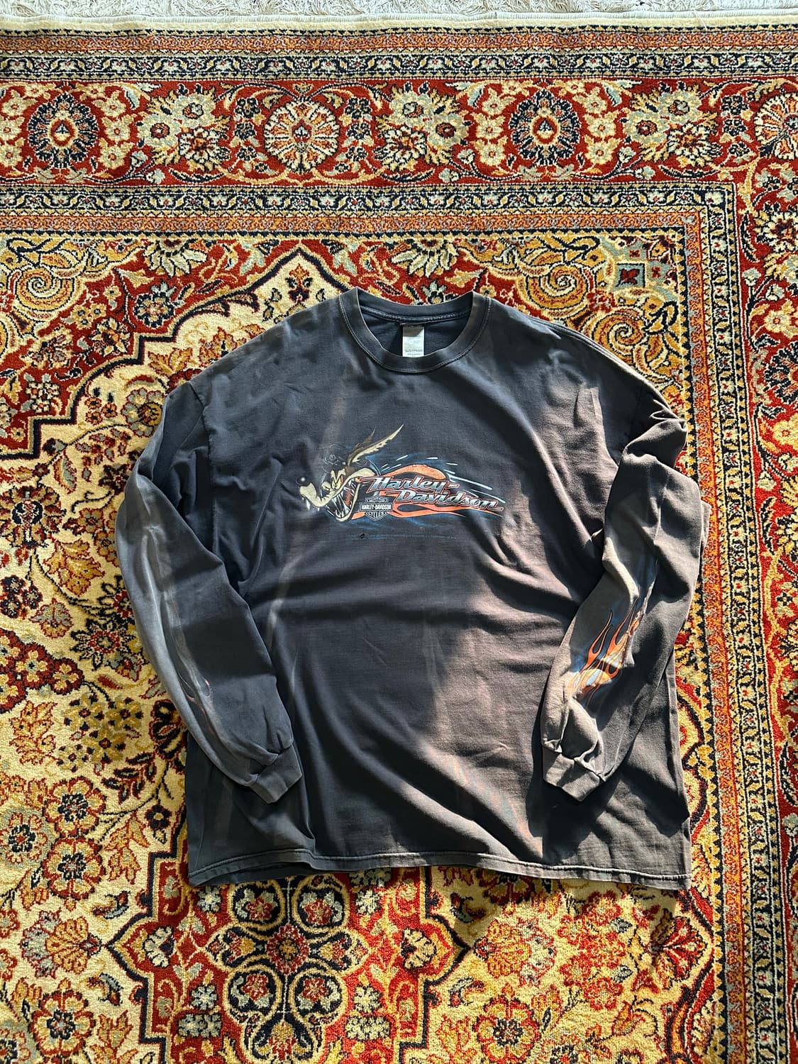 할리데이비슨 x 루니툰즈 '와일드 코요테' 파이어 롱슬리브 - 4XL 상품이미지2