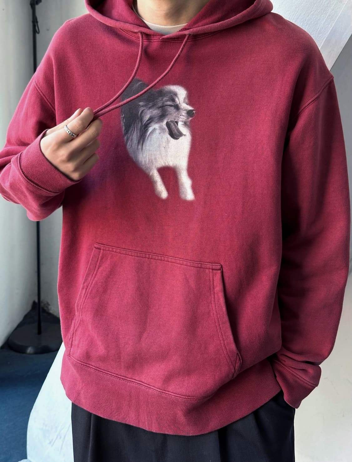 Design printing hooded sweatshirt 상품이미지10