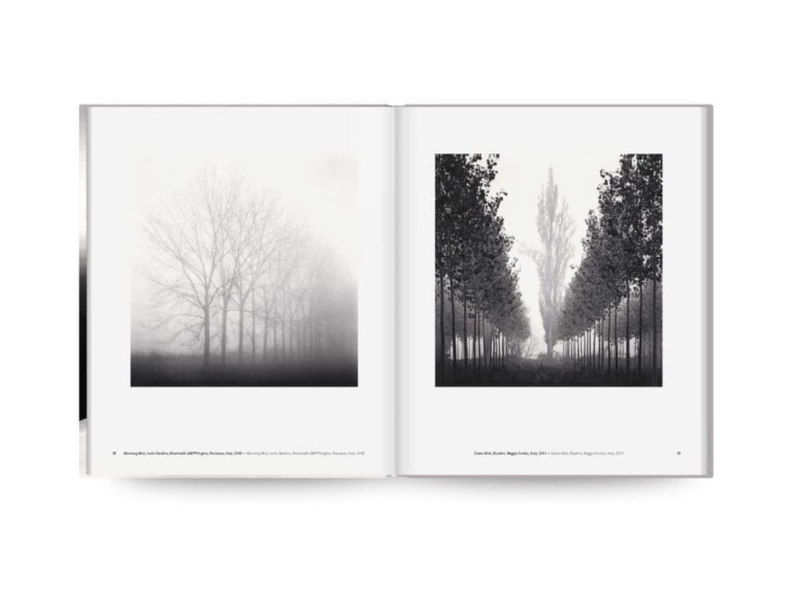 미개봉 / Michael Kenna Trees 마이클케냐 사진집 상품이미지6