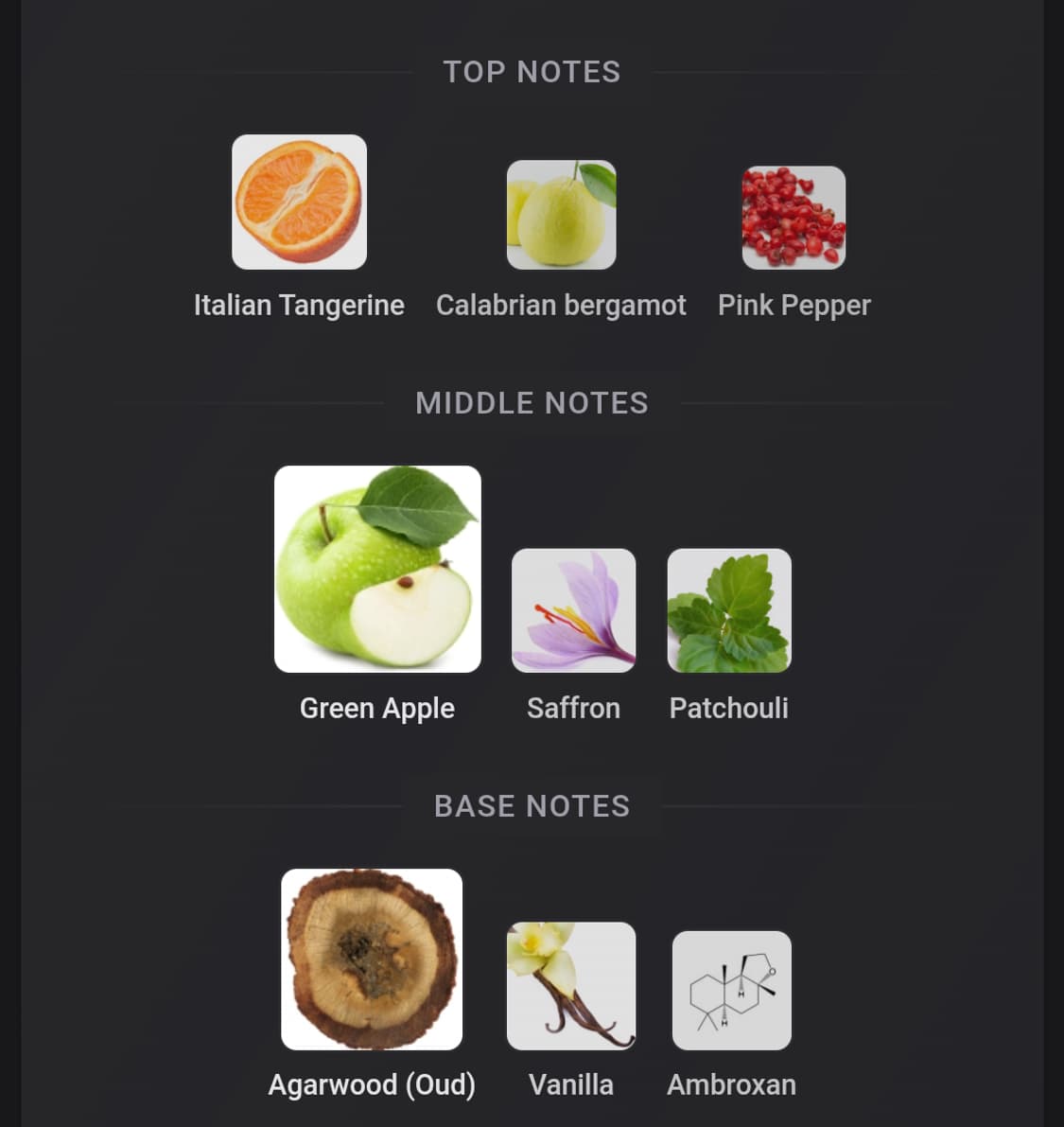 [국문택 정품]브리오니 오 드 퍼퓸 인텐스 향수 60ml 상품이미지4