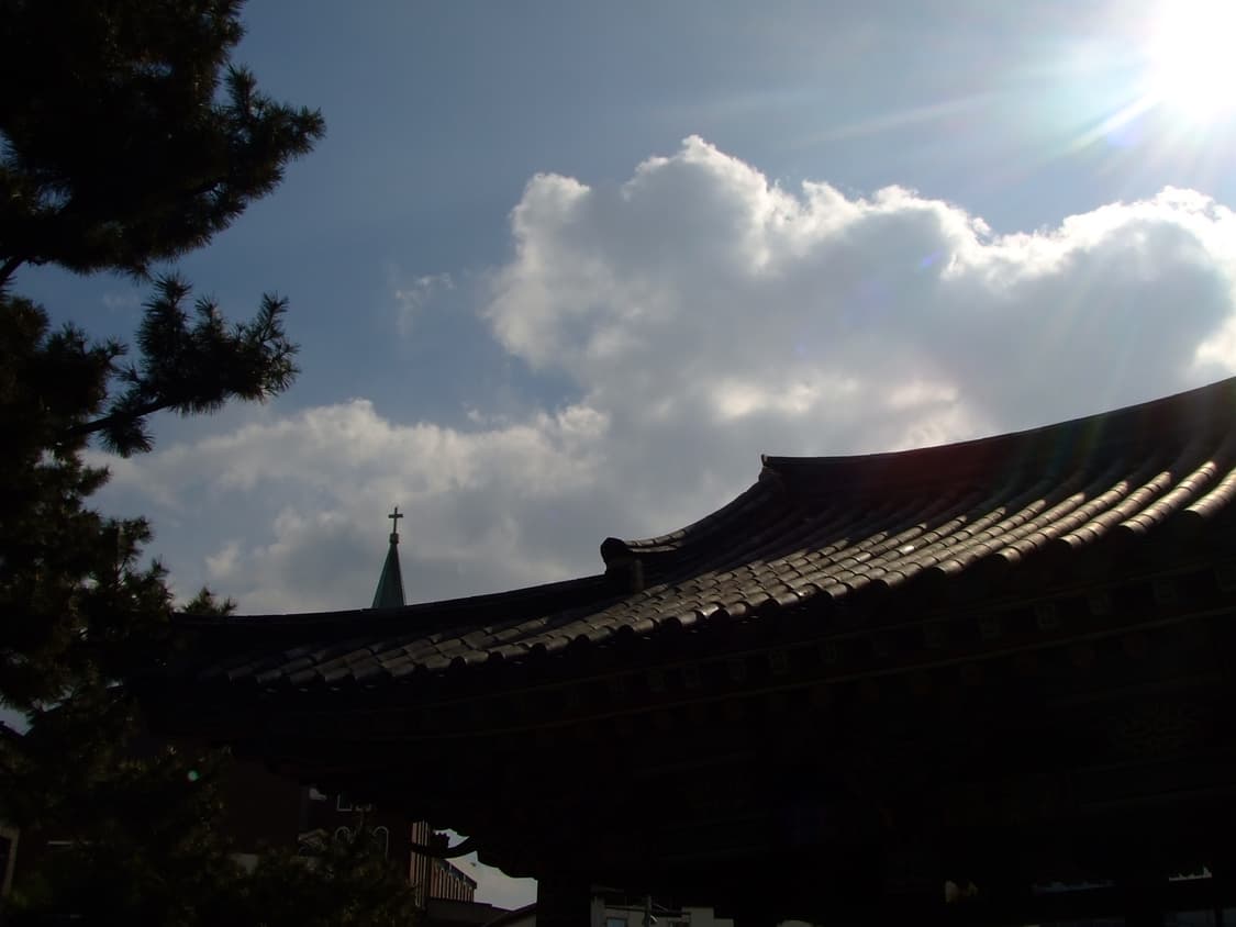 후지필름 파인픽스 z3 핑크 디카 풀박스 (작례) 상품이미지7