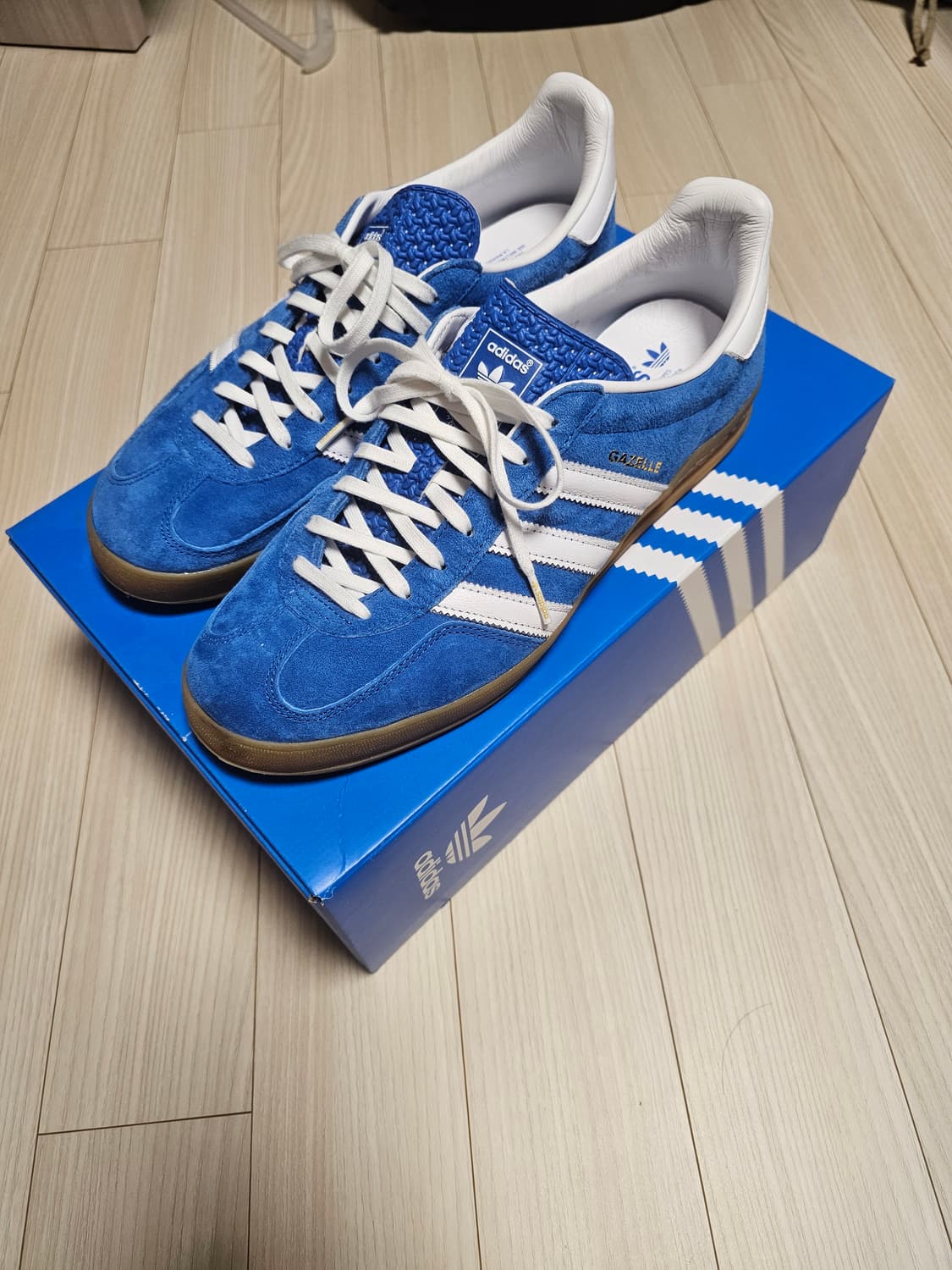 [285] 가젤 인도어 블루버드  상품이미지2