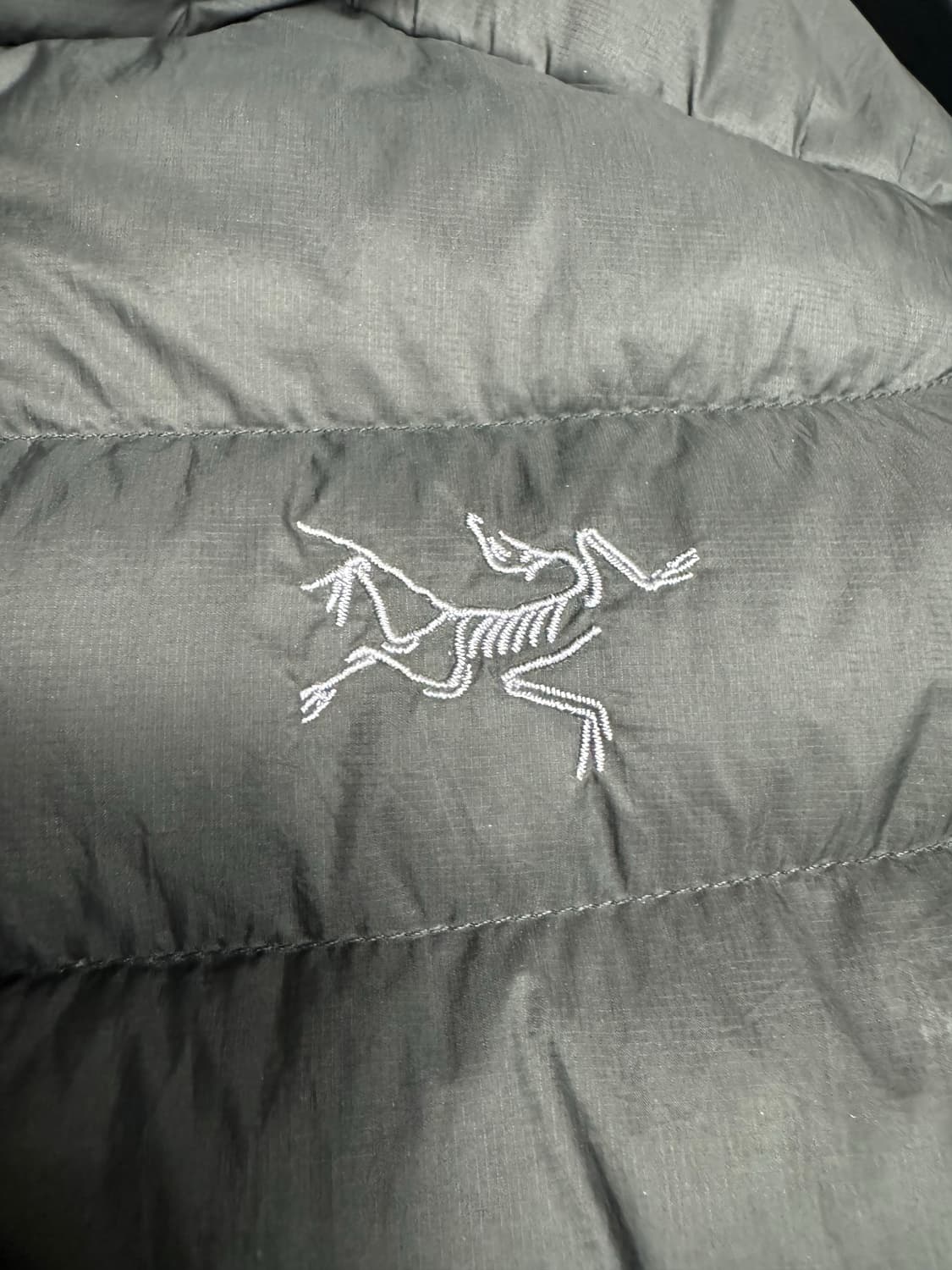 아크테릭스 세륨 후디 블랙 L 상품이미지3